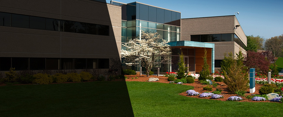 Grove Hill Landscapers