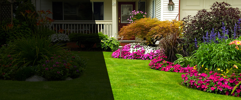 Grove Hill Landscapers