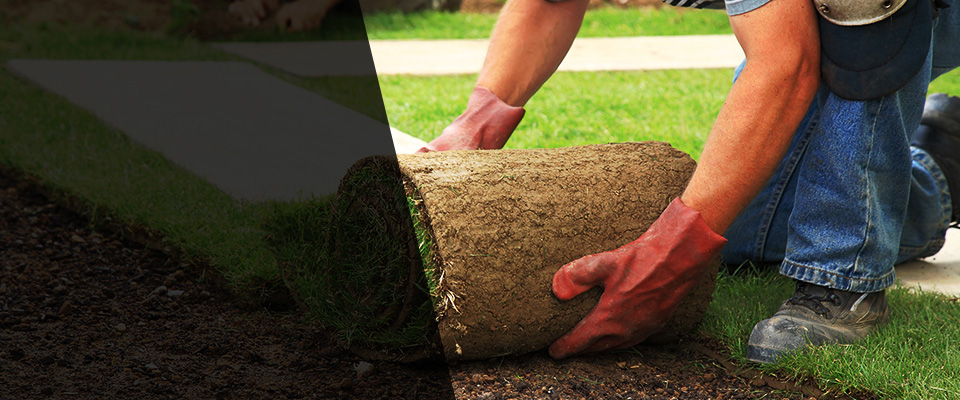Grove Hill Landscapers